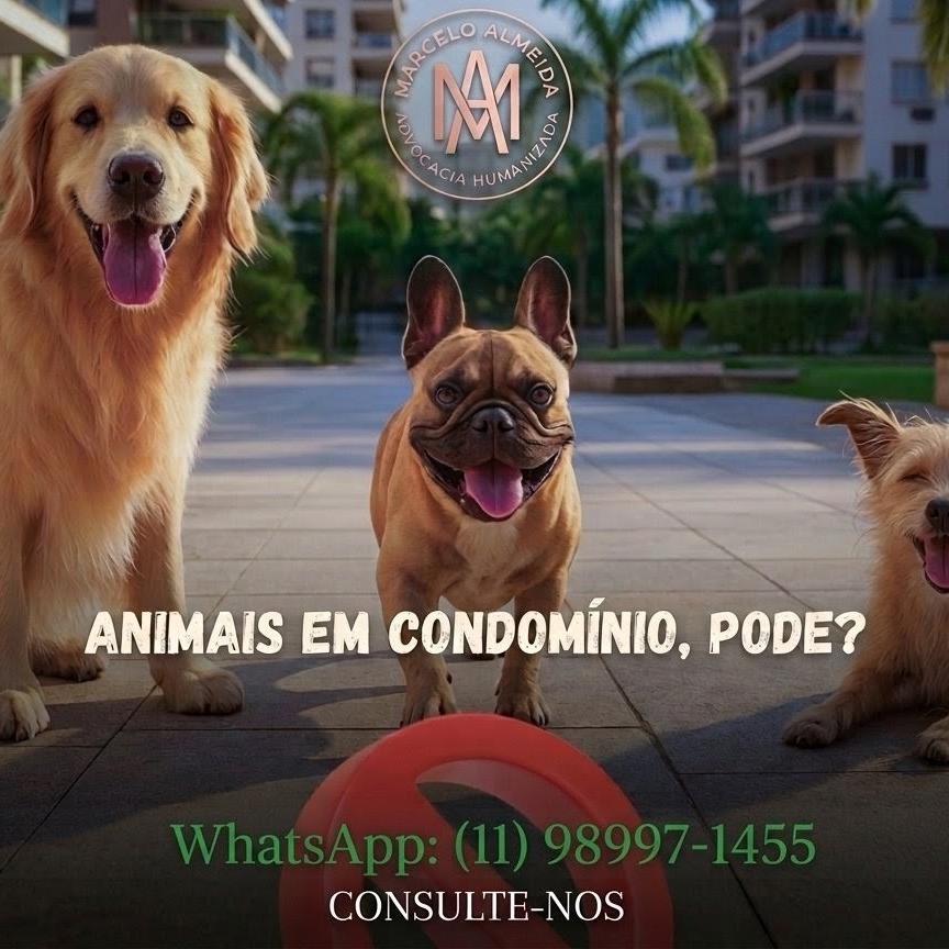 Animais em Condomínio: pode proibir ou existem limites legais ?
